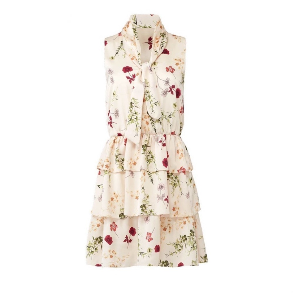 Size 2 Slate and Willow Floral Tiered Dress